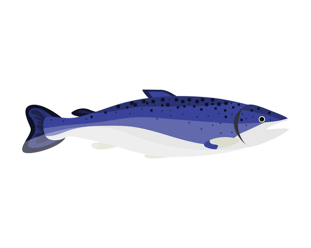 Illustrazione del vettore del fumetto del pesce salmone. Frutti di mare disegno su sfondo bianco
. - Vettoriali, immagini
