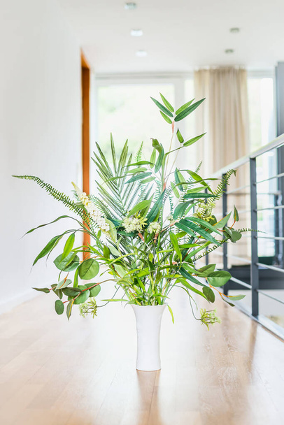 Green indoor plant arrangement in vase at light floor and window background. Urban living and styling with green plant - Foto, Imagem