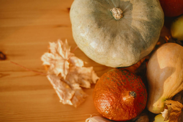 Тыквы, осенние листья, грецкие орехи, каштаны, кукуруза, яблоко и груша на деревенском деревянном столе в солнечной комнате. Осенний сезонный урожай. Счастливого Дня Благодарения. Осенняя еда и декор
 - Фото, изображение