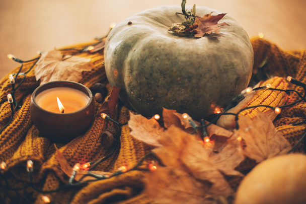 Dobrý den. Útulný náladový obraz. Dýně, podzimní listy, svíčky, teplá světla a ořechy na žlutém pleteném svetru na venkovském pozadí. Selektivní zaměření - Fotografie, Obrázek