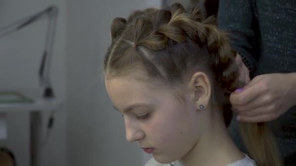 Hairdresser makes pigtails to a girl - Footage, Video