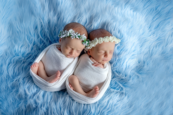 newborn twins sleep on a blue background, the dream of newborn twins - Photo, Image