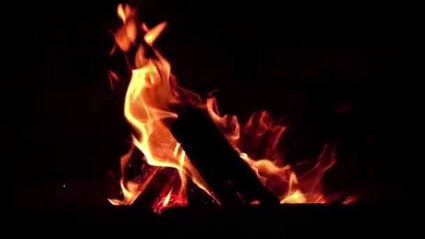 felle vlam van vuur brandt in een open haard in de zomer avond - Video