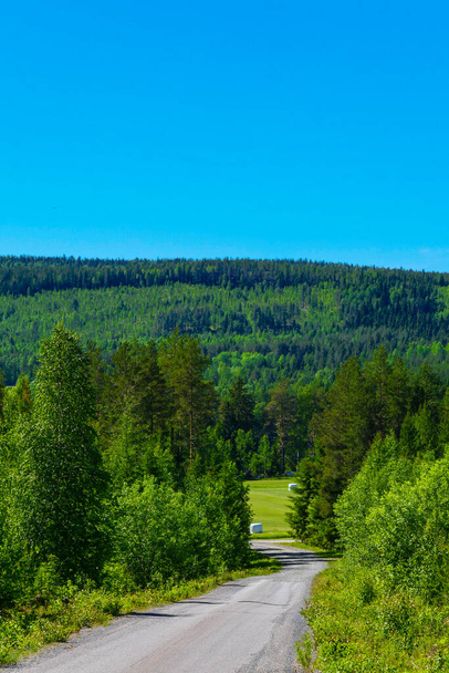 Boden, Σουηδία Ένα καλοκαιρινό τοπίο των αγρών και λόφων - Φωτογραφία, εικόνα