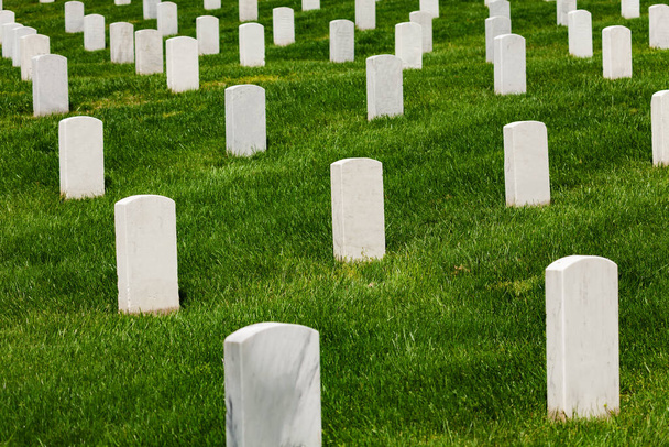 White tomb stones on green grass of the cemetery burial ground - Zdjęcie, obraz