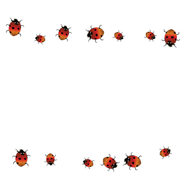 Delicate background with ladybugs. Trendy template for a postcard, stamp, banner or poster. Cute Ladybugs on a white background. Vector - Vector, Image