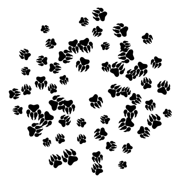 Monochrome Bärenfussspuren. Abdrücke von Pfoten mit großen Krallen für Petshop-Design oder für Waren für Haustiere.  - Vektor, Bild