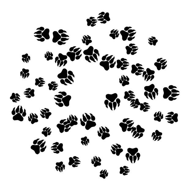 Monokróm Medve Lábnyomok. Prints of Paws with Big Claws for Petshop Design vagy kedvtelésből tartott állatok számára.  - Vektor, kép