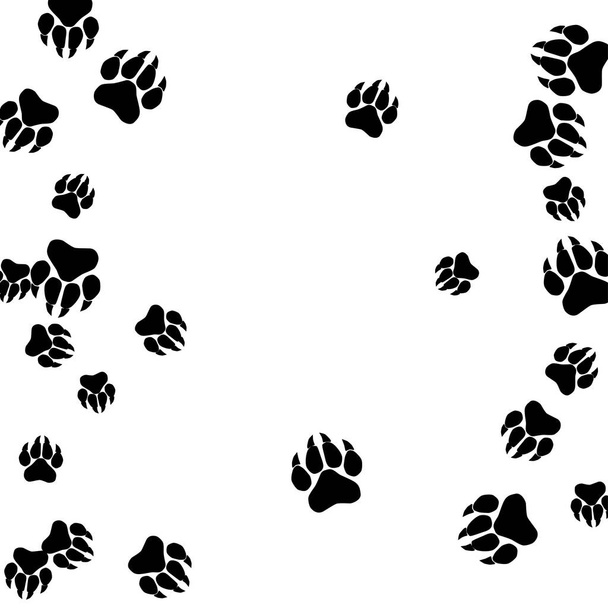 Monochrome Bärenfussspuren. Abdrücke von Pfoten mit großen Krallen für Petshop-Design oder für Waren für Haustiere.  - Vektor, Bild
