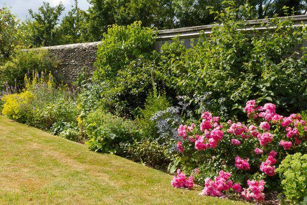 Красочная граница летнего сада
 - Фото, изображение