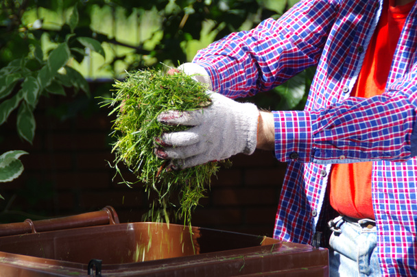 Ségrégation des déchets verts. Un jardinier jetant du foin vert dans une poubelle brune de recyclage biologique. L'écologie et l'environnement dans le jardin de la maison. - Photo, image