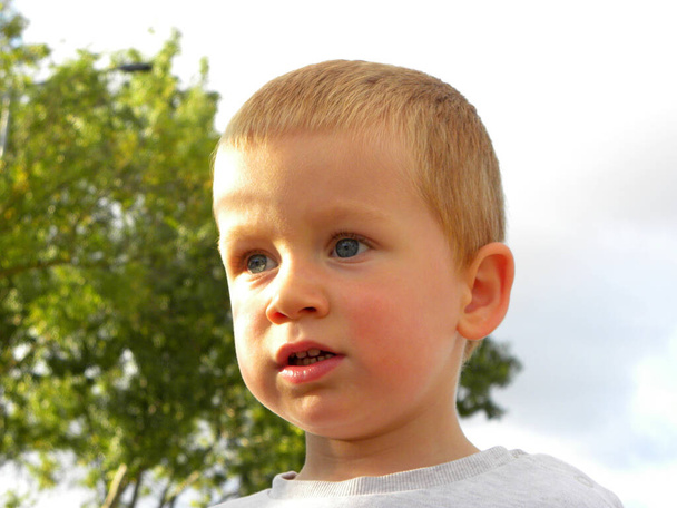          Portrait d'un garçon blond aux yeux gris. Un charmant garçon de trois ans regarde au loin et sourit. Bébé heureux                       - Photo, image