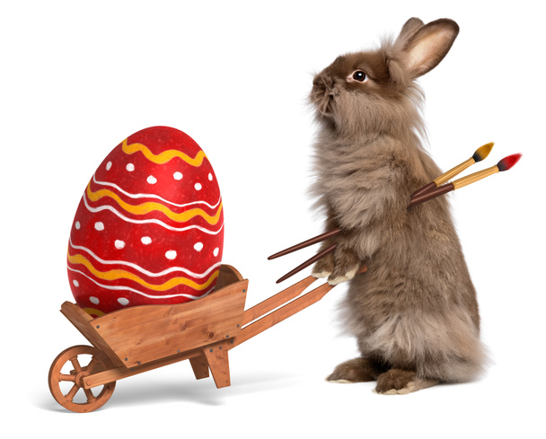 Funny Easter bunny rabbit with a wheelbarrow and a red Easter eg - Photo, Image