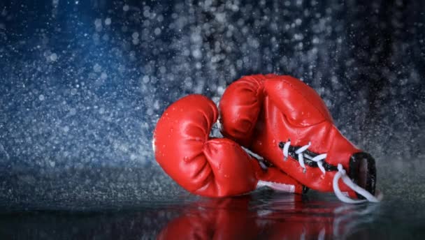 Red boxing gloves on a water drops background. Sport lifestyle. Motivation. Goal achievement. Protect yourself. Motion photography - Footage, Video