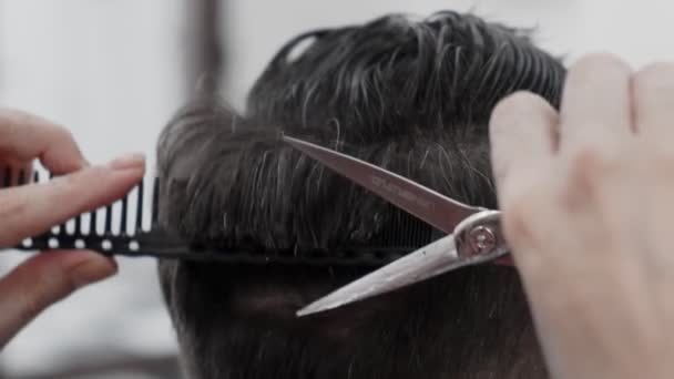 Profesjonalny stylista włosów kobiet czesanie i cięcie włosów człowieka - Materiał filmowy, wideo