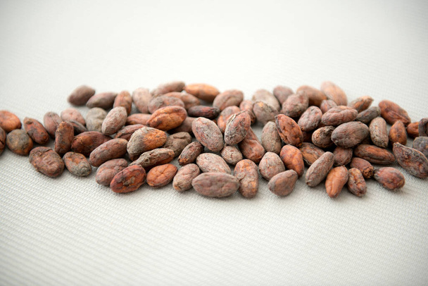 Fagioli di cacao isolati sullo sfondo - Foto, immagini