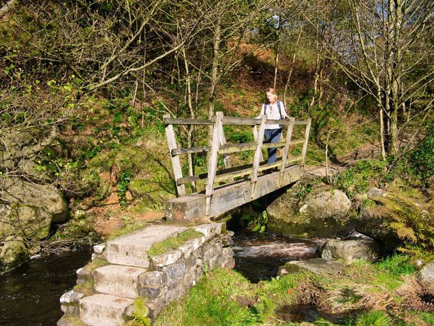 Un caminante mujer / mujer cruza un puente de sendero de madera de una sola pista a través de un arroyo en Yorkshire Dales, Inglaterra, Reino Unido - tomado en un día soleado en otoño. - Foto, Imagen