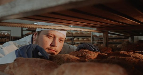 Χαρισματικός χοντρός φούρναρης κοιτάζει μέσα από τα ράφια και τακτοποιεί το ψωμί πολύ προσεκτικά οργανικό τέλειο ψωμί - Φωτογραφία, εικόνα