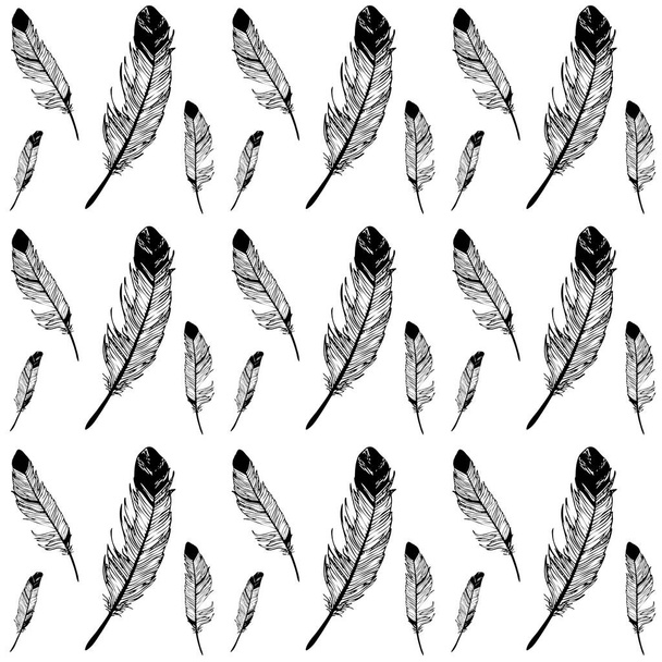 feathers pattern vector - Vector, Image