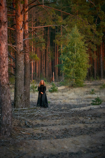 暗い松林の中の少女魔女2020 - 写真・画像