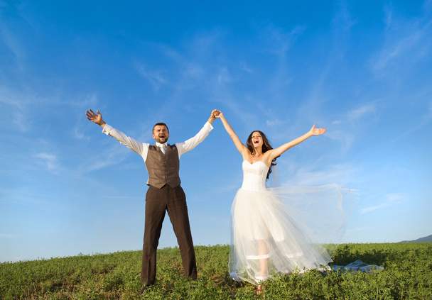 Newly married couple portrait with blue sky - Fotografie, Obrázek