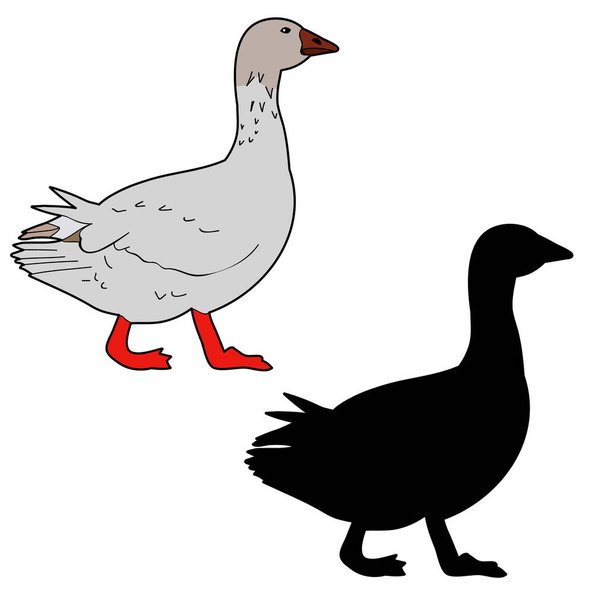 vector isolated goose, duck silhouette icon - Vector, Image