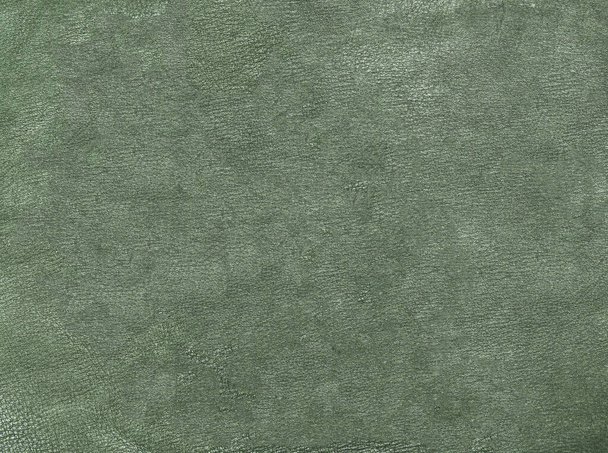 green textured suede leather - Photo, Image