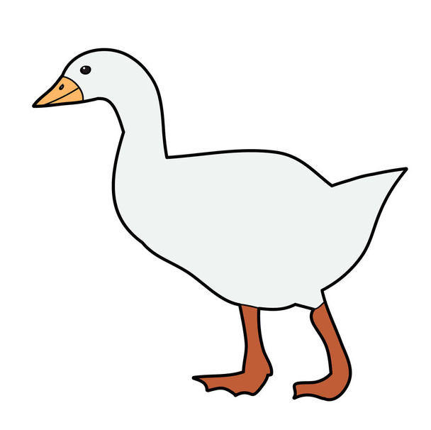 vector, isolated, bird goose, duck - Vektor, Bild