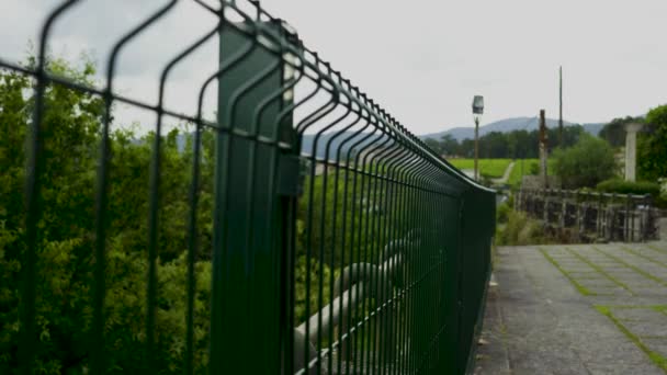зеленый забор на фоне заката
 - Кадры, видео