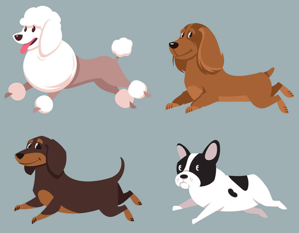 Futó kutyák. Uszkár, kakas spániel, tacskó és francia Bulldog rajzfilm stílusban. - Vektor, kép