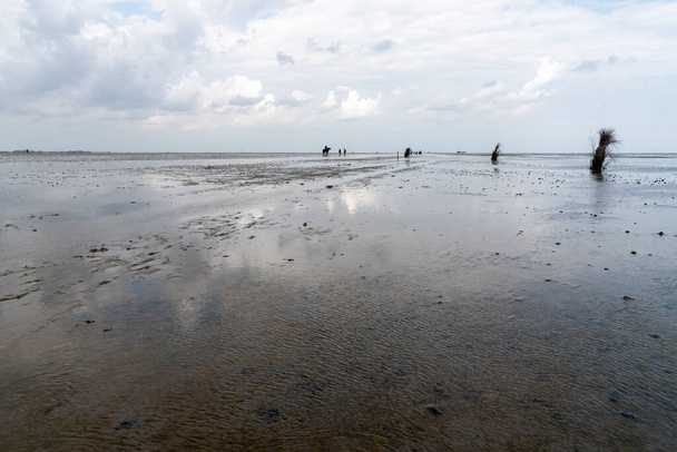 Paysage marin calme et tranquille à la plage à marée basse dans la mer des Wadden - Photo, image