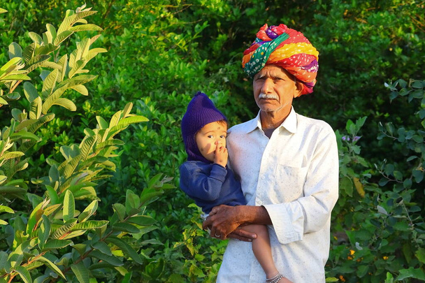 Az indiai farmer kék téli ruhába kötötte a turbánt a kertben, a fiatalabb unokát. - Fotó, kép
