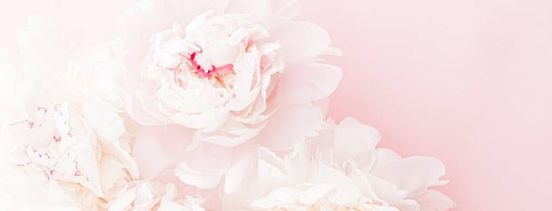 Flores de peônia em flor como arte floral em fundo rosa, flatlay casamento e marca de luxo
 - Foto, Imagem