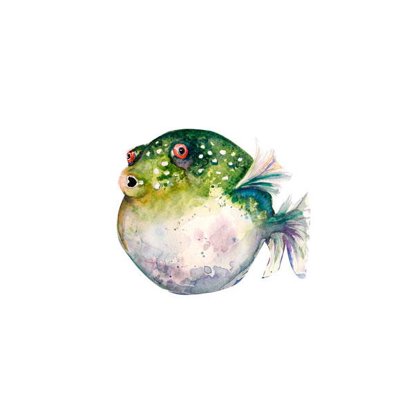 Aquarelle pintura de peces dibujo ilustración de arte
 - Foto, imagen