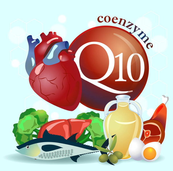 Coenzima q10. Fundamentos de una alimentación saludable. Normalización de la actividad cardíaca. Productos orgánicos naturales con un alto contenido de coenzima q10
 - Vector, Imagen
