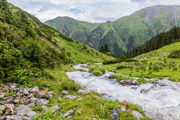 Rapids in a valley near Ala Kul pass in Kyrgyzstan - Zdjęcie, obraz