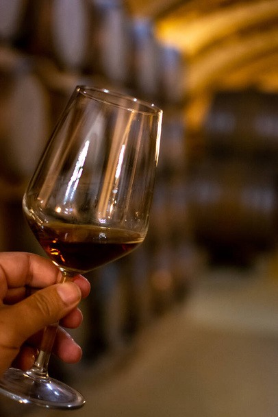 Tasting of fortified dry or sweet marsala wine in vintage wine cellar with old oak barrels in Marsala, Sicily, Italy, wine glass with wine - Photo, Image