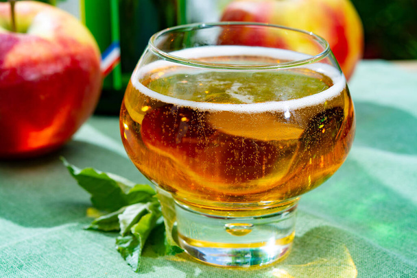Glass with fresh cold French apple cider drink from Normandy region served with apples in green garden - Photo, Image