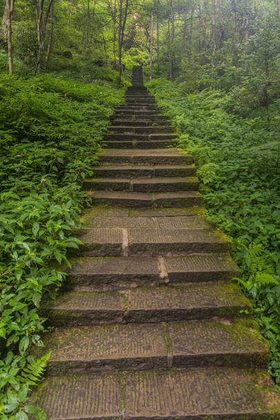 Stone steps in Wulingyuan Scenic and Historic Interest Area in Zhangjiajie National Forest Park in Hunan province, China - Photo, Image