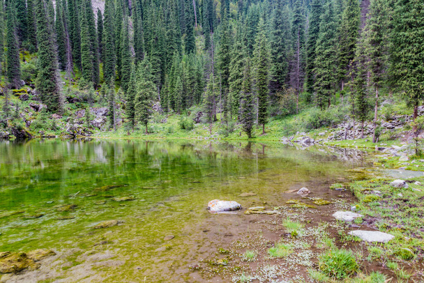 Small lake in Karakol river valley in Kyrgyzstan - Foto, imagen