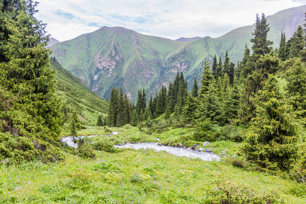 Valley near Ala Kul pass in Kyrgyzstan - Фото, зображення