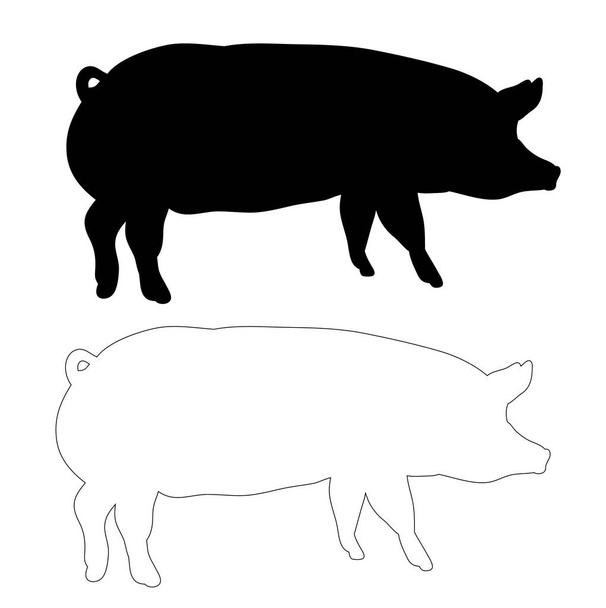 silhouet van een varken, contouren van een varken - Vector, afbeelding