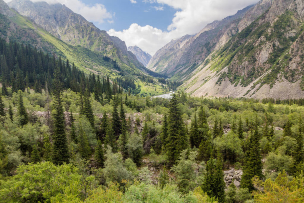 Ala Archa valley in Kyrgyzstan - Фото, изображение