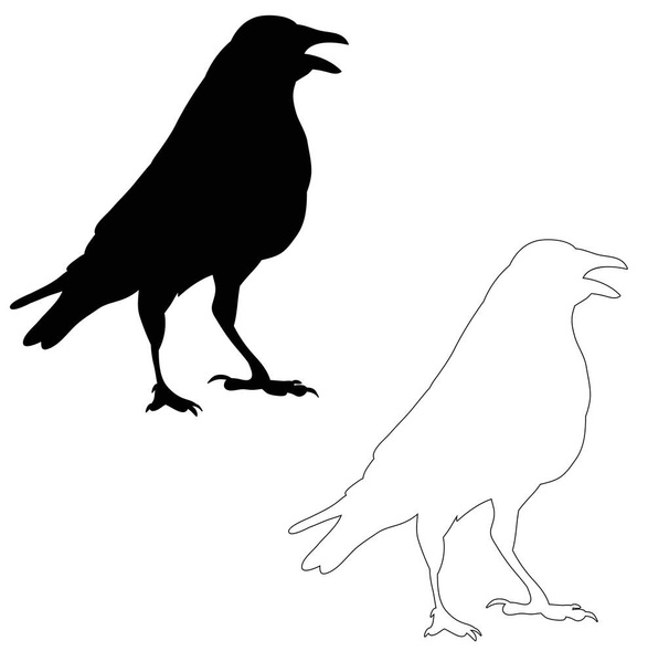 vector, silhouette ravens, birds outline - Vector, Image