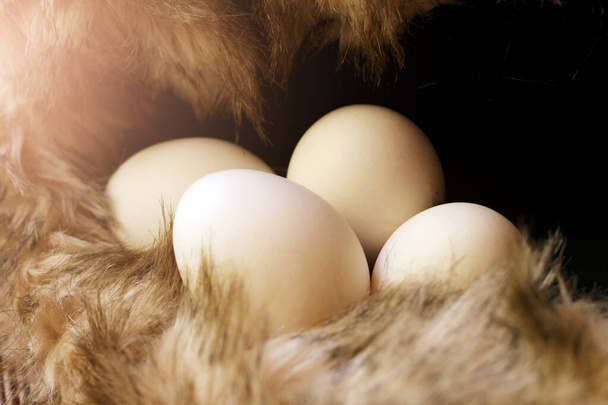 Beyaz yumurta, doğal yiyecek çok yakın, ürün. - Fotoğraf, Görsel