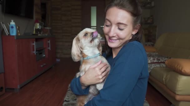 Joven alegre sonriente atractiva abrazando lindo perro shih-tzu. Adorable perra besándose chica en casa. Chica ama a su mascota. Momentos felices en casa. - Imágenes, Vídeo