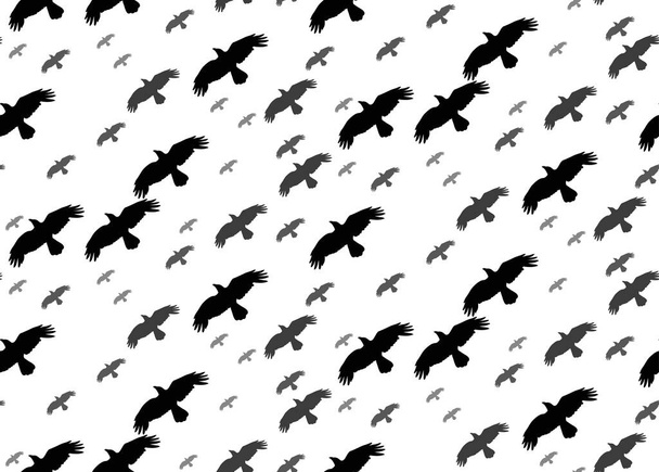 seamless background with silhouette of flying birds on a white background - Vector, imagen