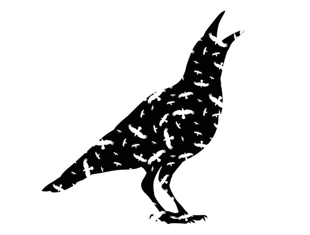 vettore, silhouette isolata di un uccello, corvo, icona - Vettoriali, immagini