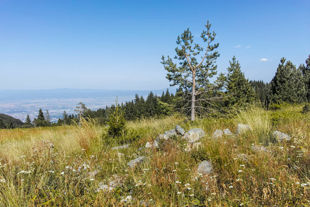 Őszi kilátás Vitosha Mountain, Szófia város régió, Bulgária - Fotó, kép