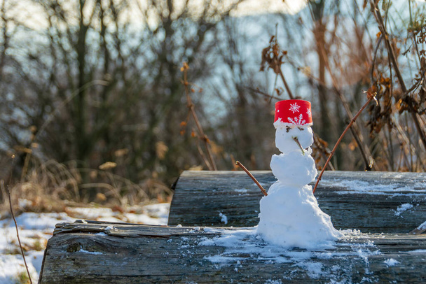 Pieni lumiukko nähty Cozla vuorella, Piatra Neamt, Romania - Valokuva, kuva